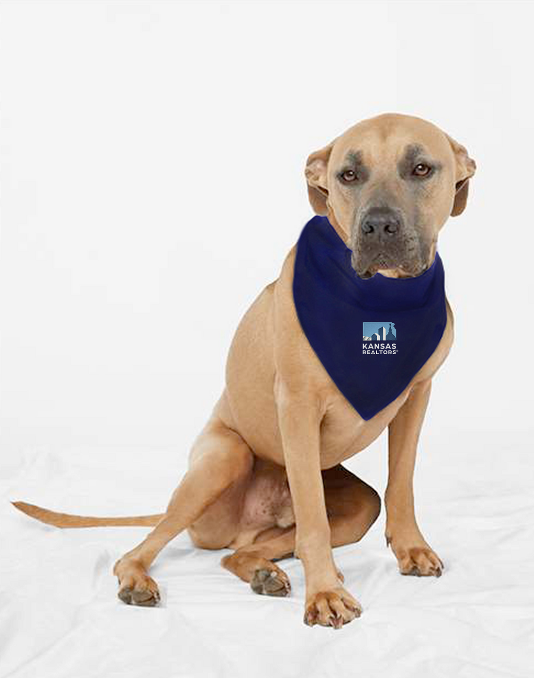 Kansas Realtors - Doggie Skins USA-Made Doggie Bandana - 3905
